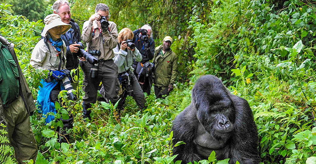 Lake Mburo Safari Image 3