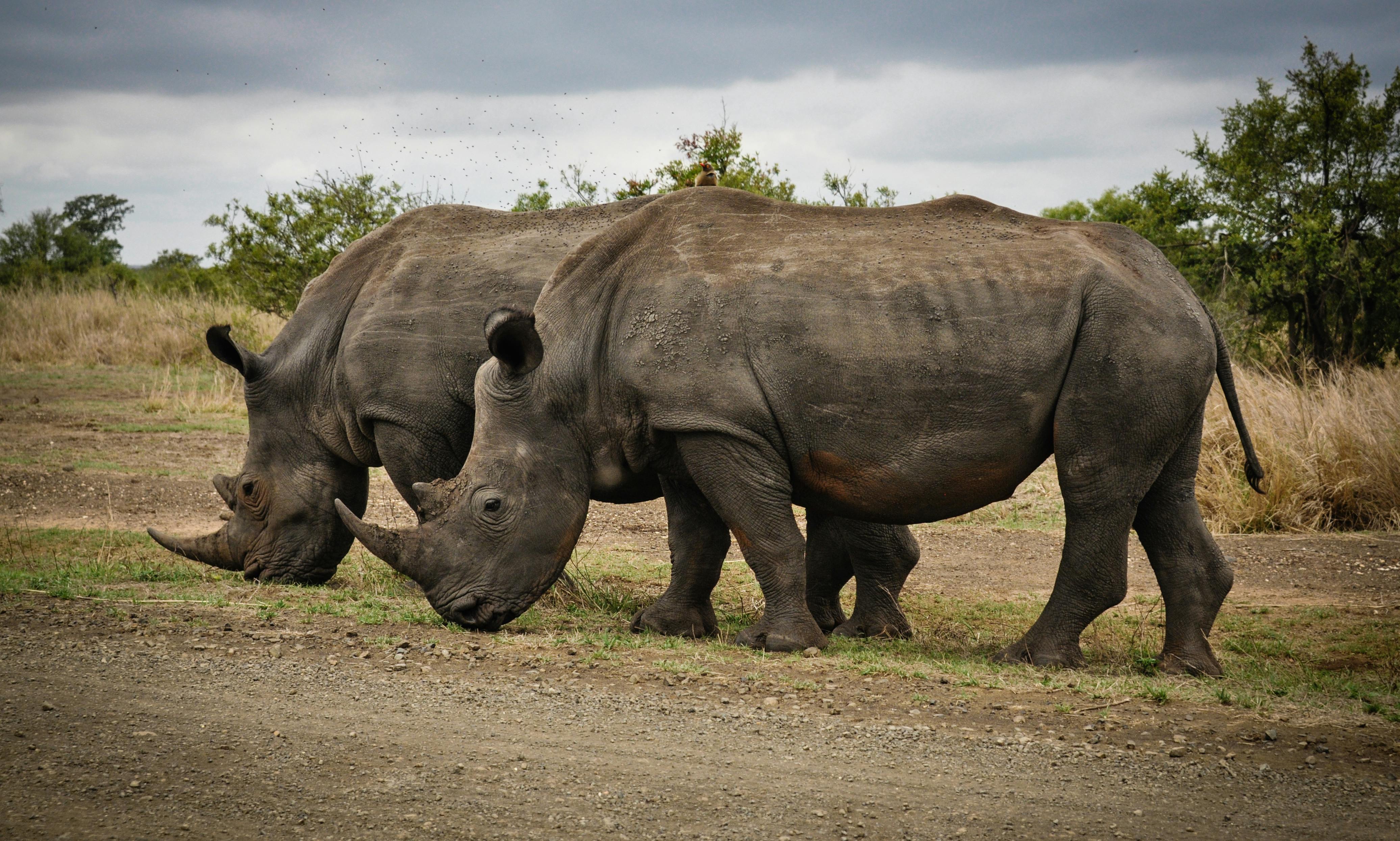 Lake Mburo Safari Image 1