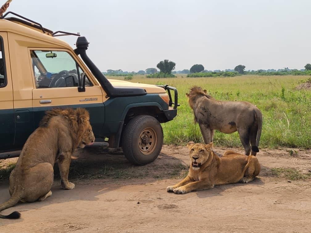Queen Elizabeth National Park Beyond the Game Drive