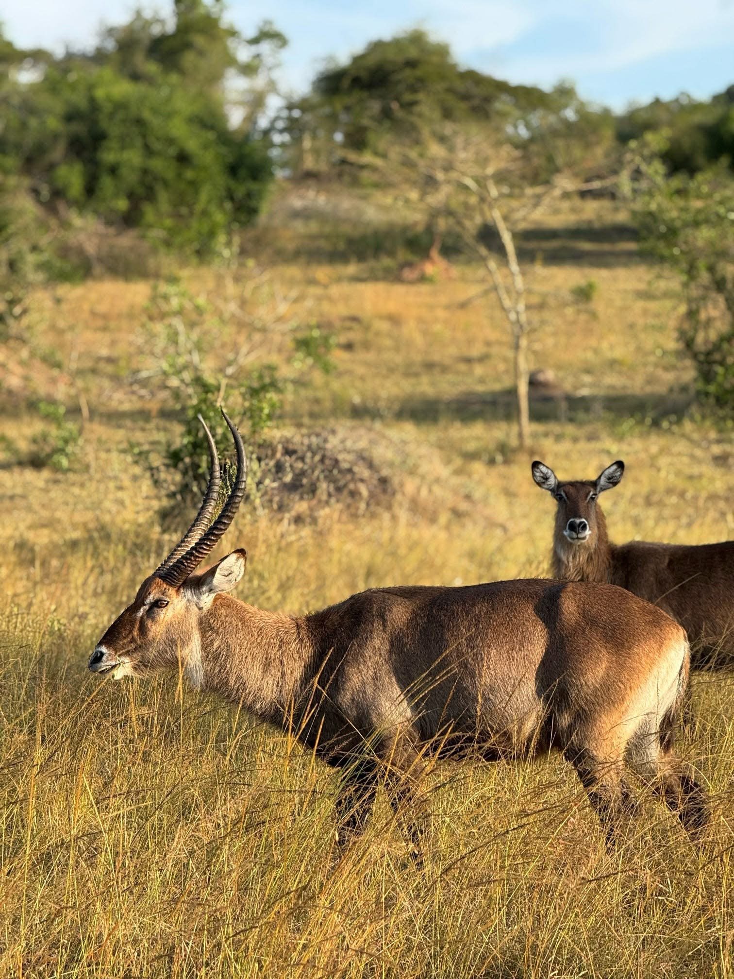 Pian Upe Wildlife Resetve