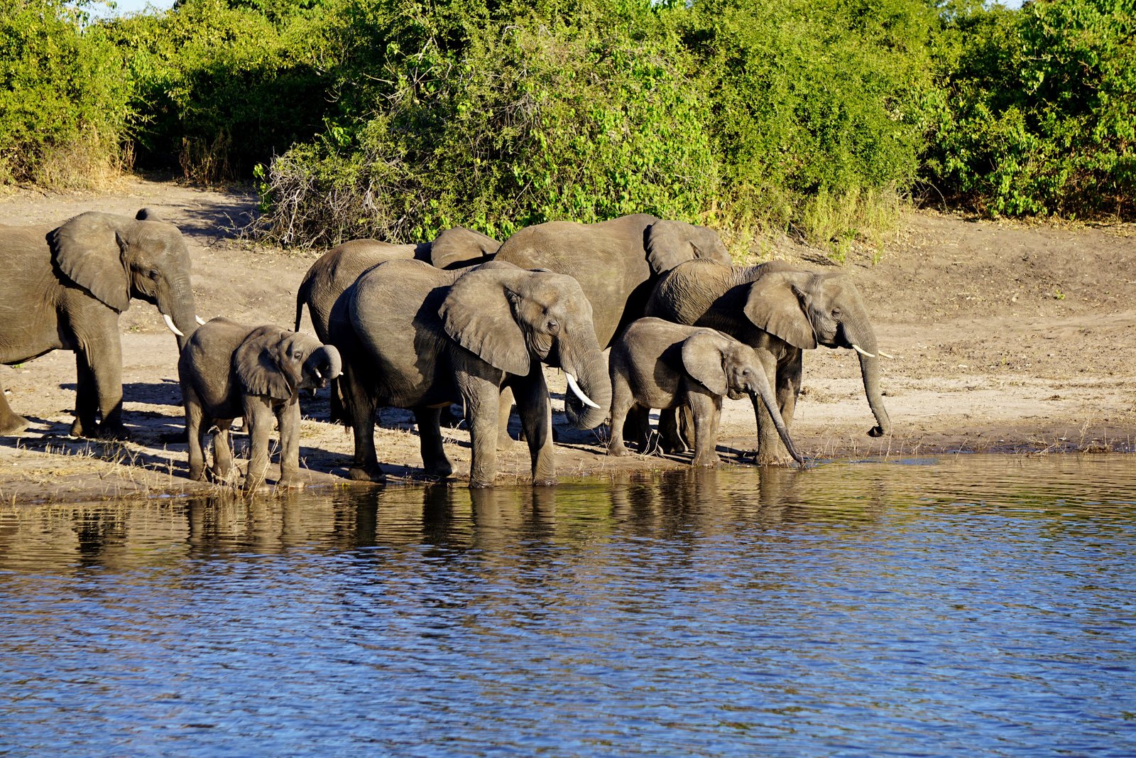 Murchison Falls wildlife adventure