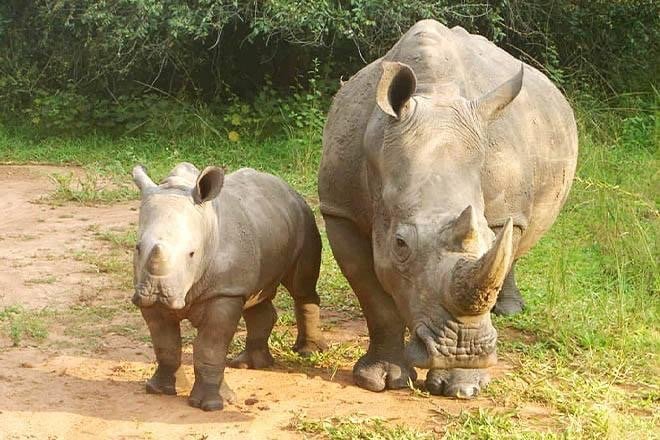 Raha Voyage Safaris gallery image 4