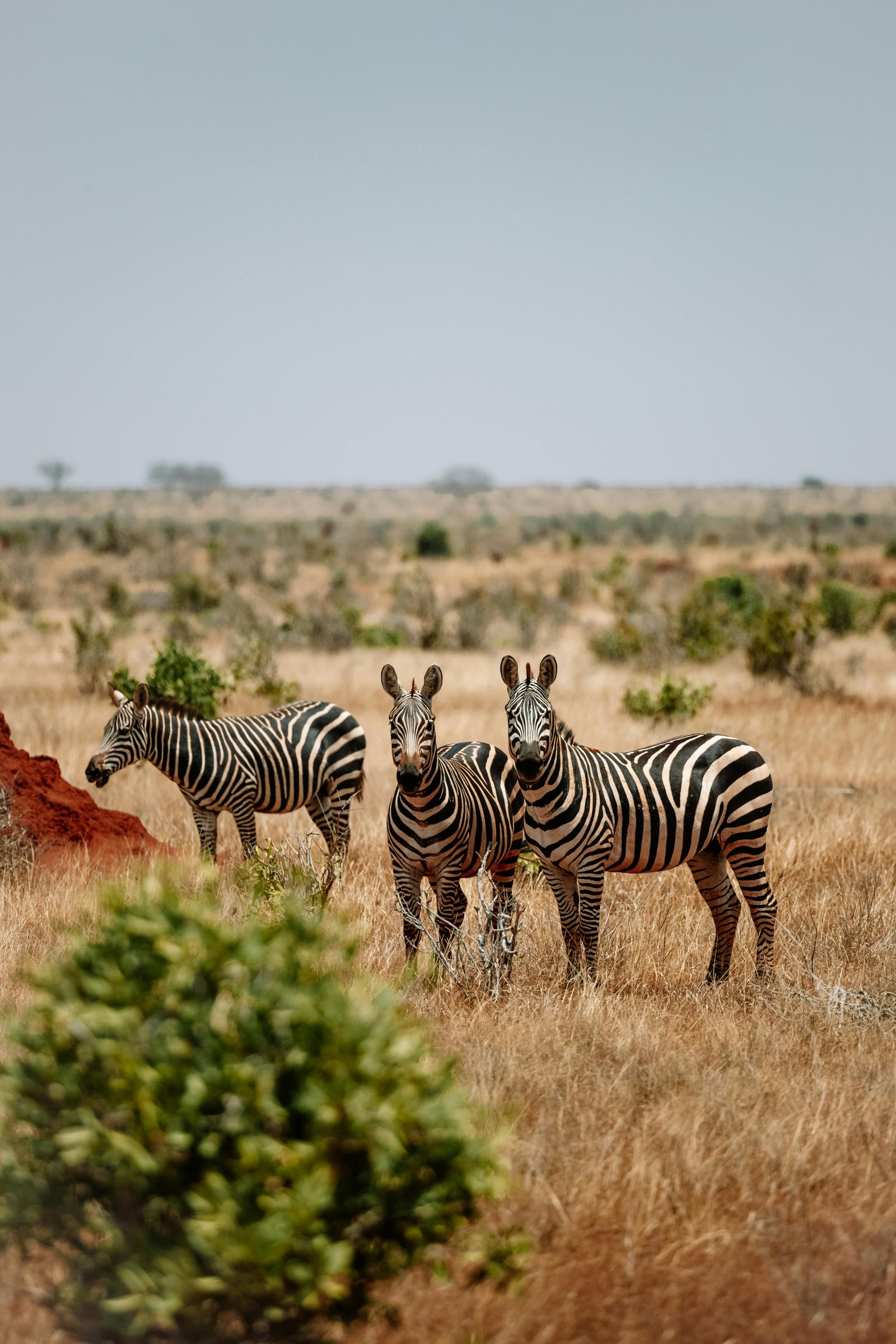 Kidepo Valley
