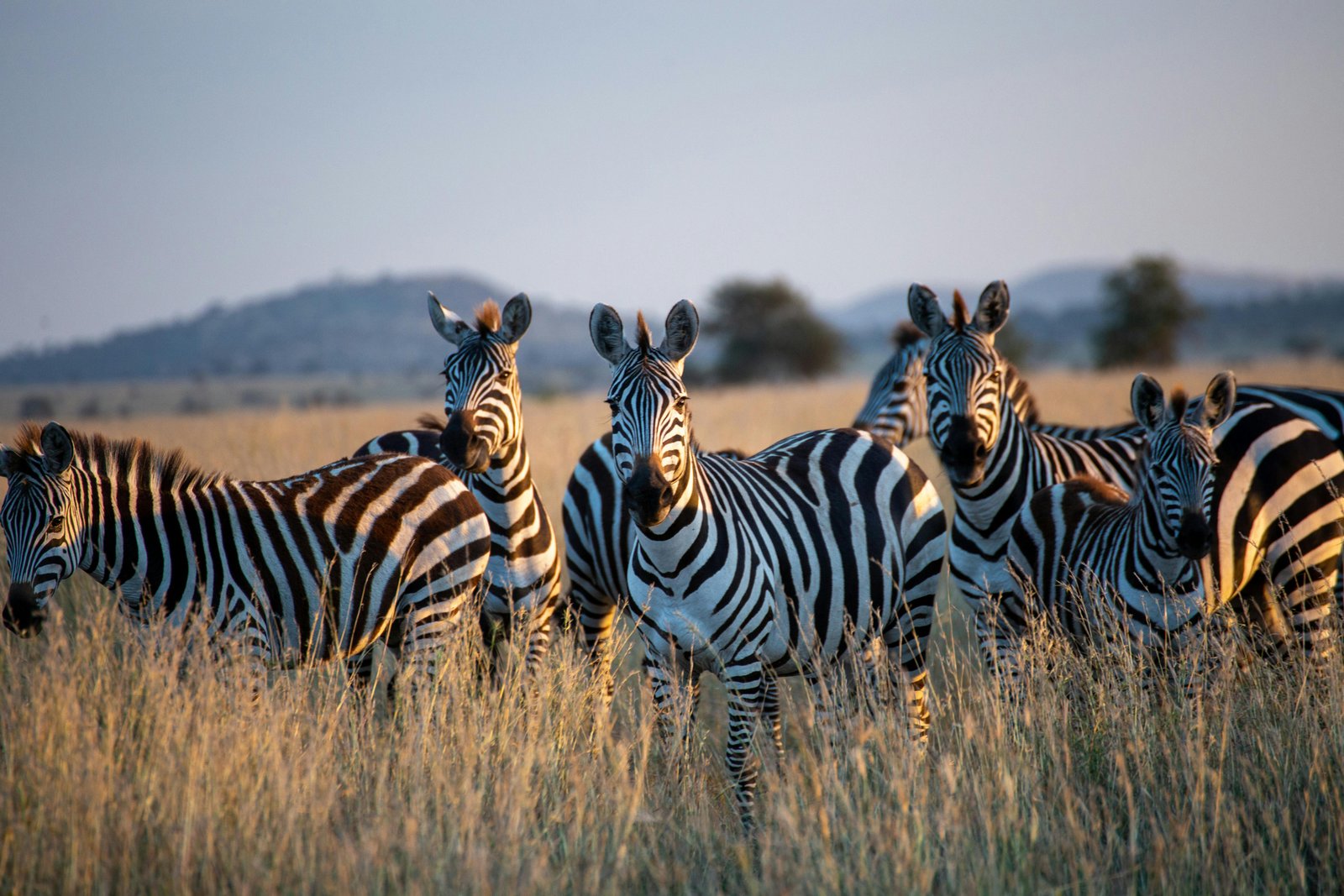 Lake Mburo Escape