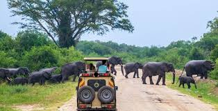 Lake Mburo Safari Image 2