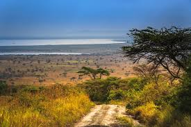 Lake Mburo Safari Image 3