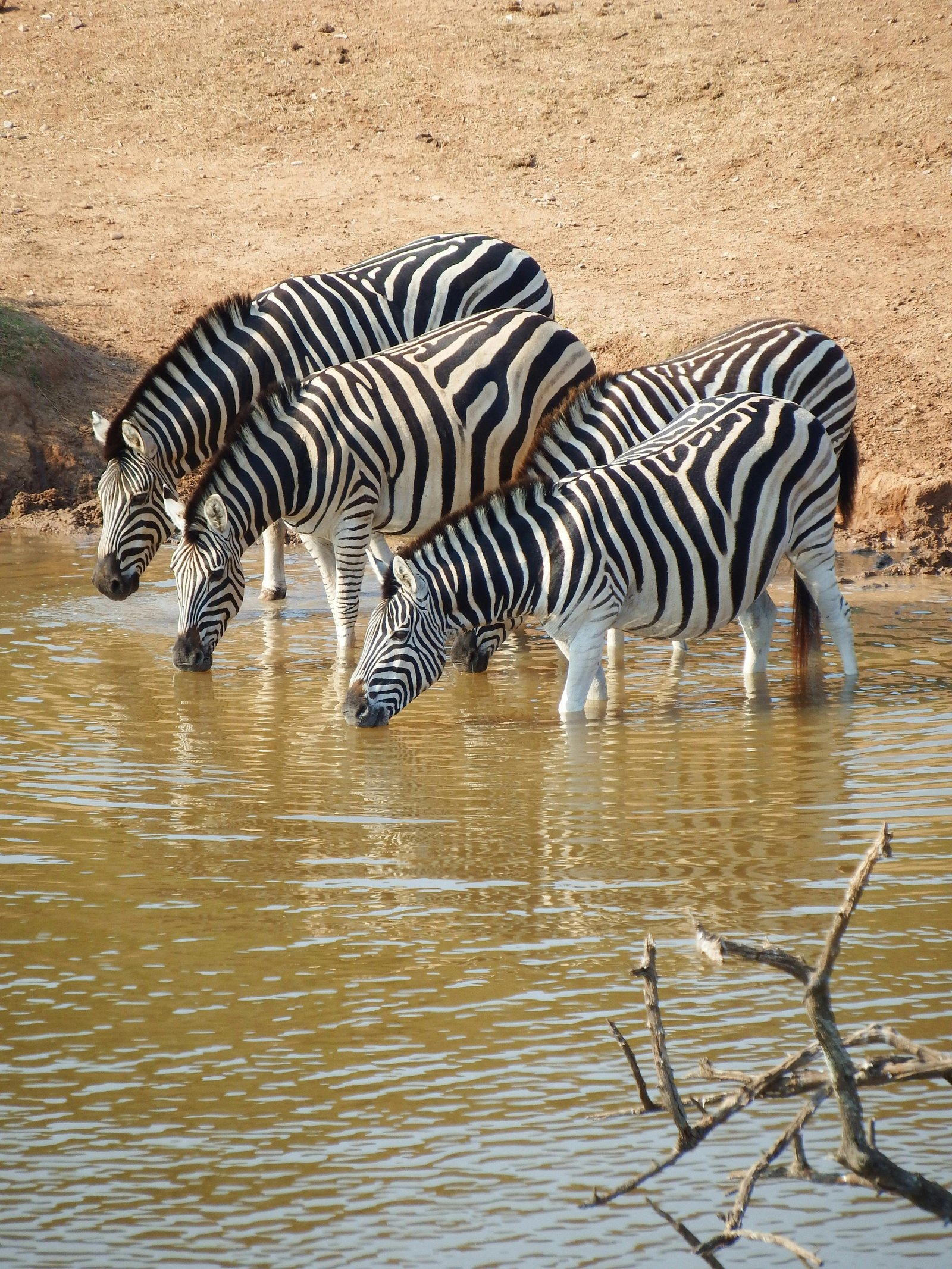 Lake Mburo National Park