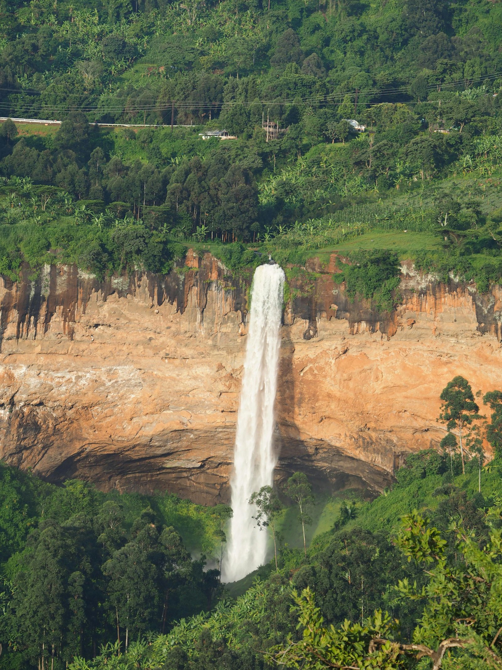 Rwenzori Mountains trekking